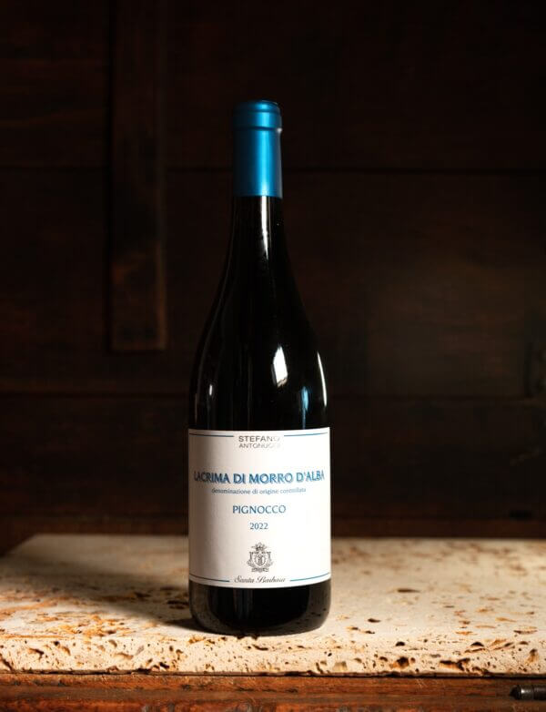 Lacrima di Morro d’alba - Pignocco 2022 (75 cl) - immagine 1